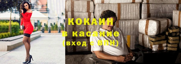 индика Армянск