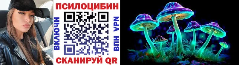 KRAKEN ССЫЛКА  Бавлы  Галлюциногенные грибы Cubensis 